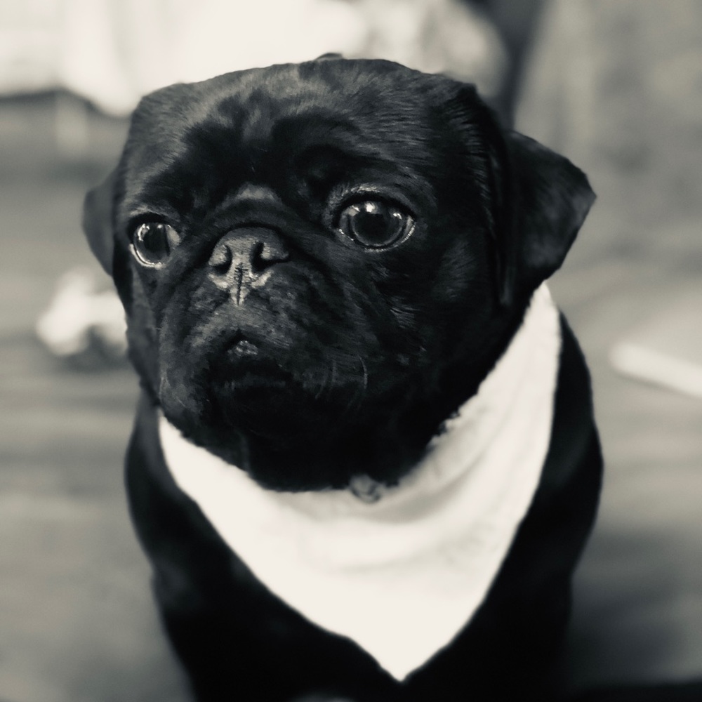 Meet your Posher, Ignacio